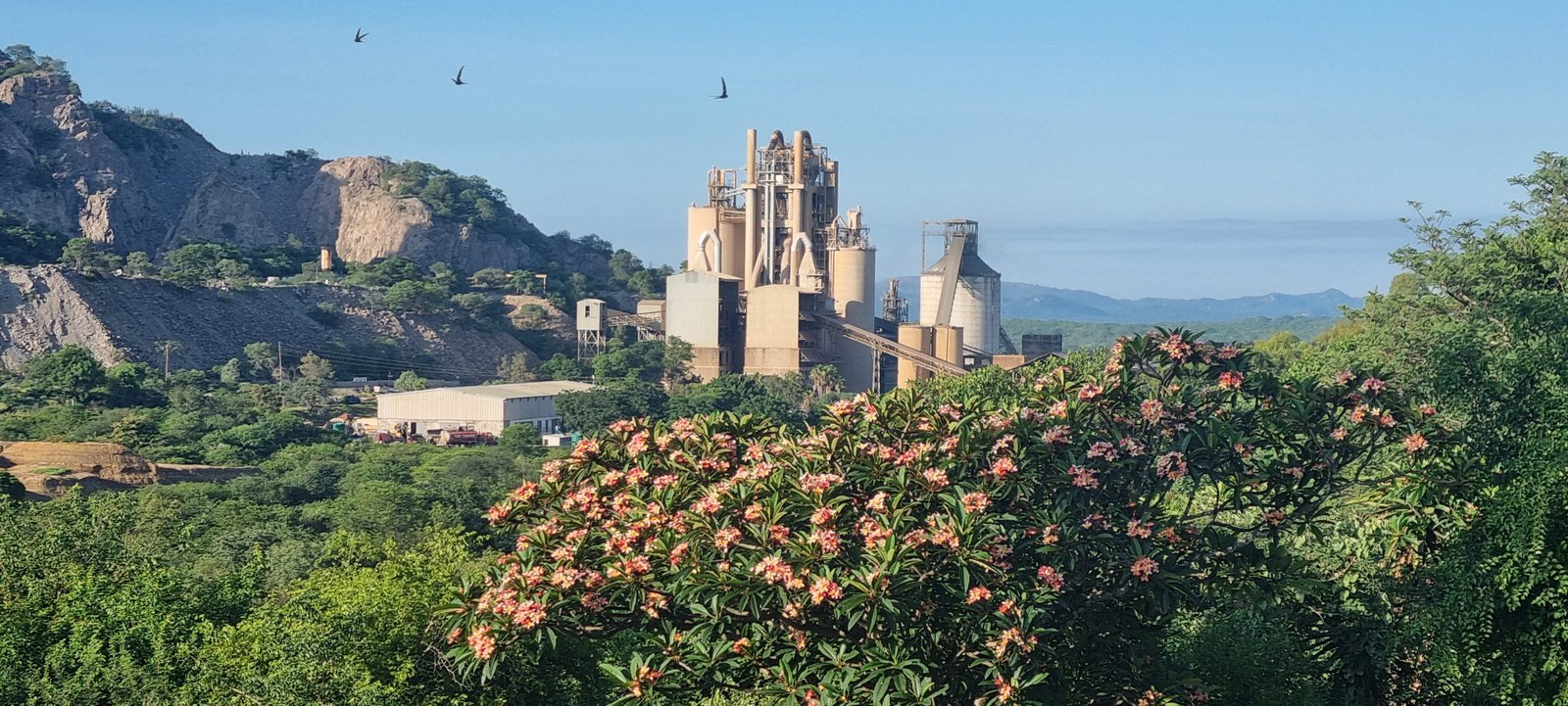 Cement Plant in Zimbabwe